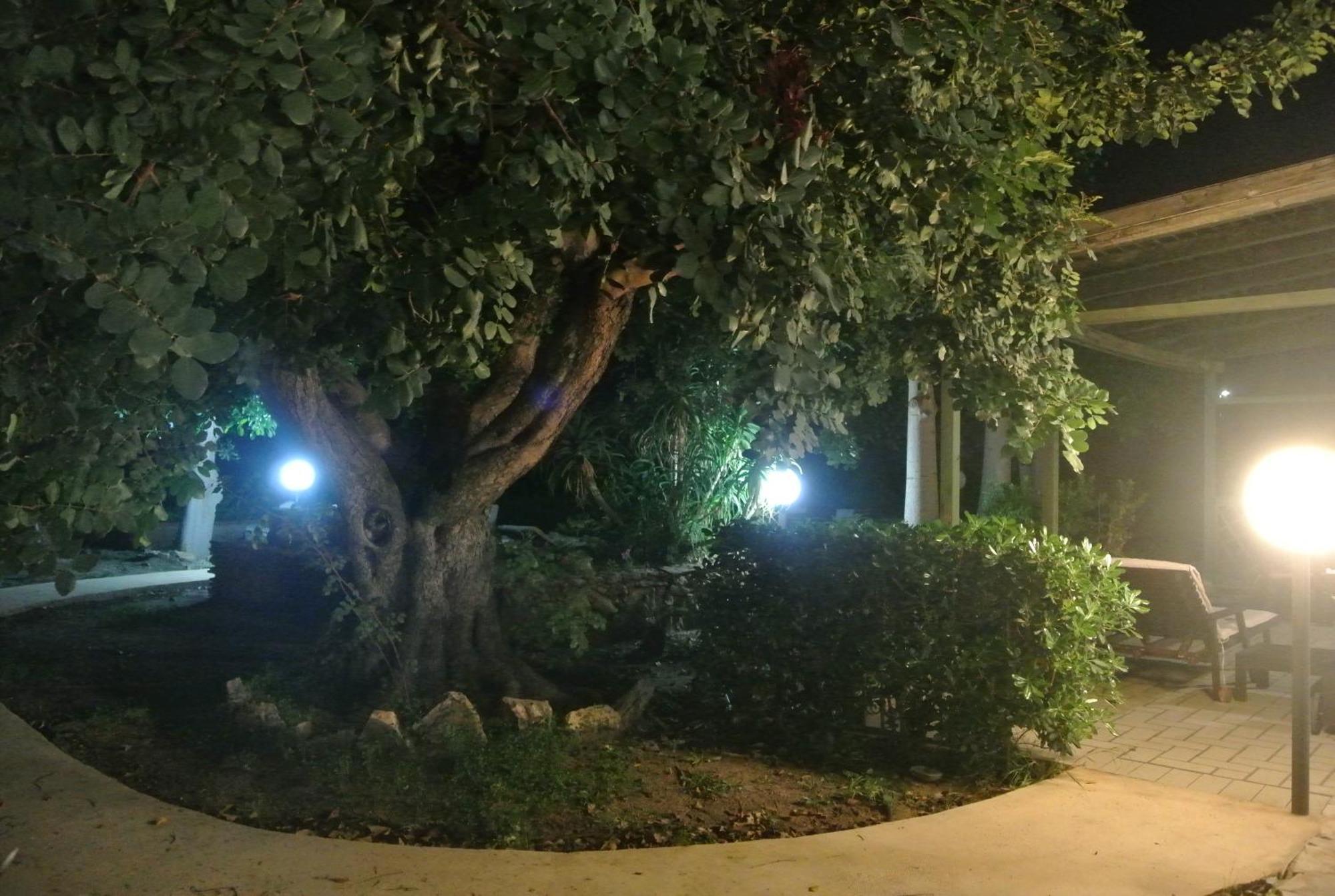 Villa Carlotta Resort 산리온 외부 사진