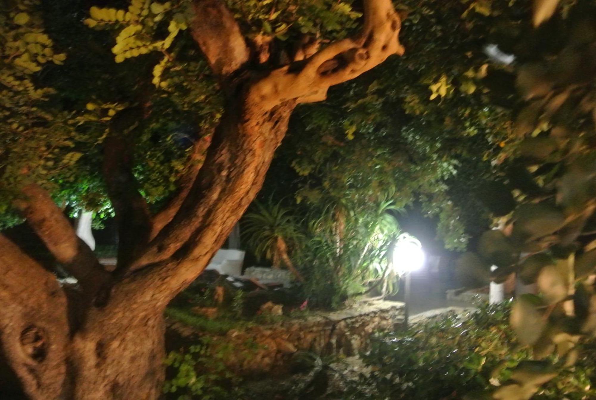 Villa Carlotta Resort 산리온 외부 사진